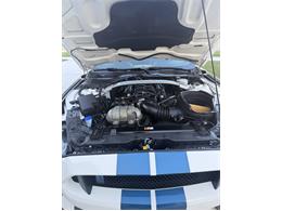 2020 Ford Mustang GT350 (CC-2109298) for sale in Manhattan, Montana