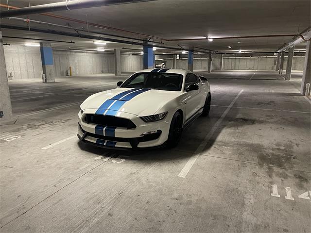 2020 Ford Mustang GT350 (CC-2109298) for sale in Manhattan, Montana
