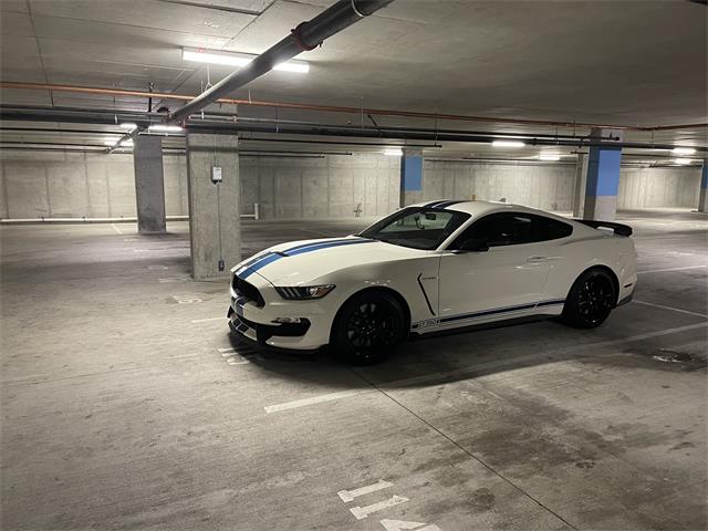 2020 Ford Mustang GT350 (CC-2109298) for sale in Manhattan, Montana