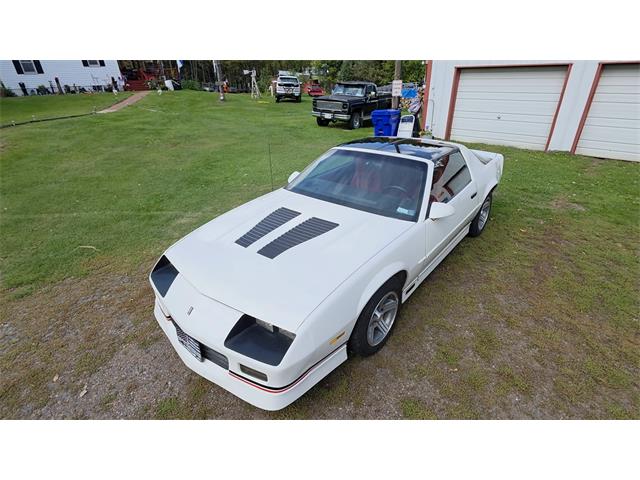 1988 Chevrolet Camaro IROC-Z (CC-2109304) for sale in Waconia , Minnesota
