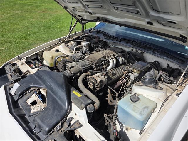 1988 Chevrolet Camaro IROC-Z (CC-2109304) for sale in Waconia , Minnesota