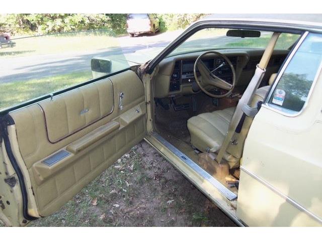 1974 Ford LTD (CC-2109306) for sale in Cadillac, Michigan