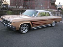 1964 Oldsmobile 88 (CC-2109332) for sale in Cadillac, Michigan