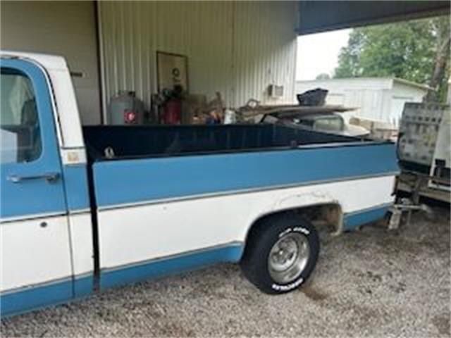 1976 Chevrolet Pickup (CC-2109348) for sale in Cadillac, Michigan