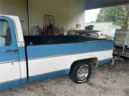 1976 Chevrolet Pickup (CC-2109348) for sale in Cadillac, Michigan