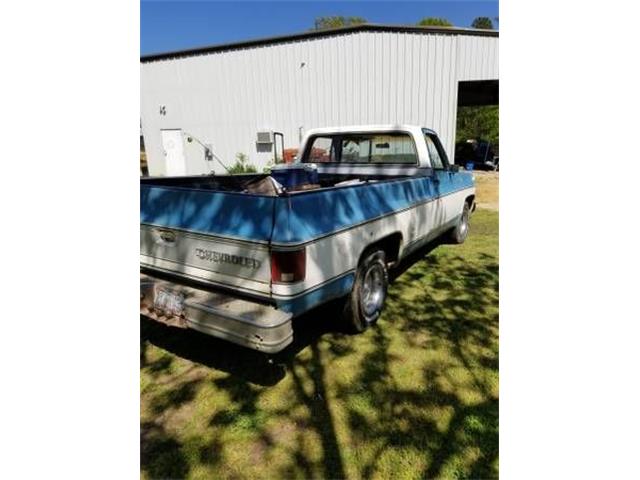 1976 Chevrolet Pickup (CC-2109348) for sale in Cadillac, Michigan