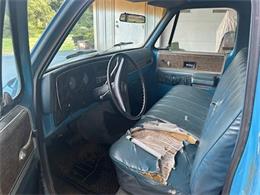 1976 Chevrolet Pickup (CC-2109348) for sale in Cadillac, Michigan