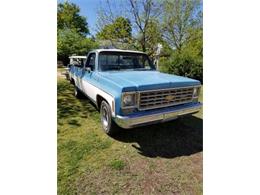 1976 Chevrolet Pickup (CC-2109348) for sale in Cadillac, Michigan