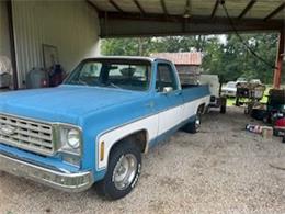 1976 Chevrolet Pickup (CC-2109348) for sale in Cadillac, Michigan