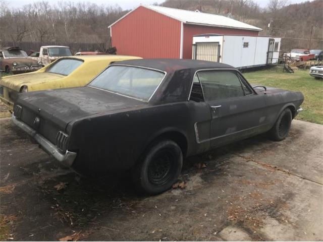 1965 Ford Mustang (CC-2109357) for sale in Cadillac, Michigan