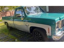 1978 Chevrolet C10 (CC-2109369) for sale in Cadillac, Michigan