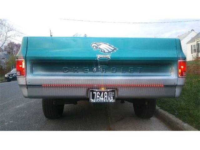 1978 Chevrolet C10 (CC-2109369) for sale in Cadillac, Michigan