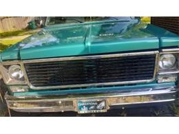 1978 Chevrolet C10 (CC-2109369) for sale in Cadillac, Michigan