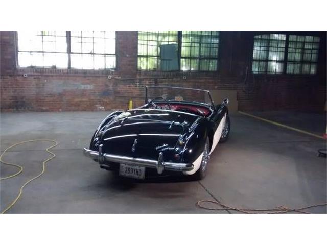 1959 Austin-Healey 100 (CC-2109384) for sale in Cadillac, Michigan