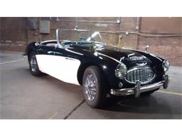 1959 Austin-Healey 100 (CC-2109384) for sale in Cadillac, Michigan