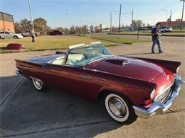1957 Ford Thunderbird (CC-2109394) for sale in Cadillac, Michigan