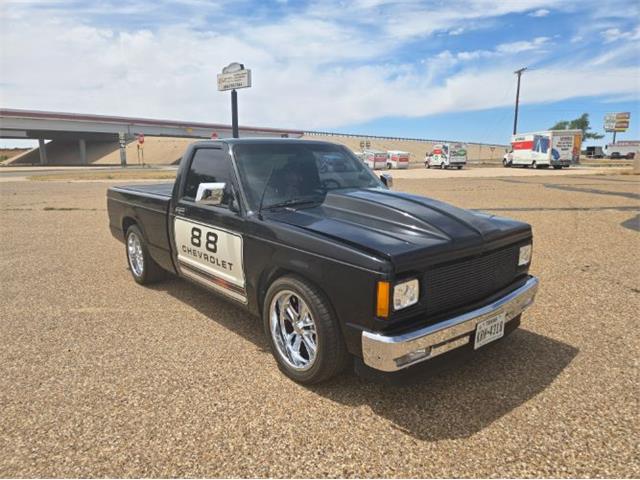 1988 Chevrolet S10 (CC-2109416) for sale in Cadillac, Michigan