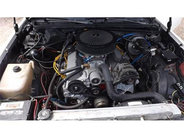 1978 Chevrolet El Camino (CC-2109423) for sale in Cadillac, Michigan