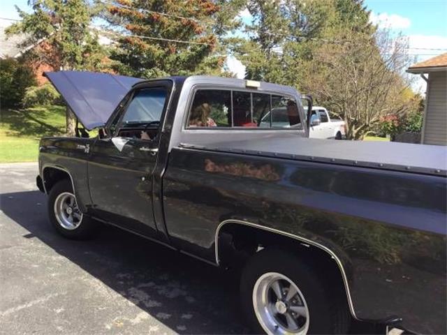 1977 Chevrolet C10 (CC-2109430) for sale in Cadillac, Michigan