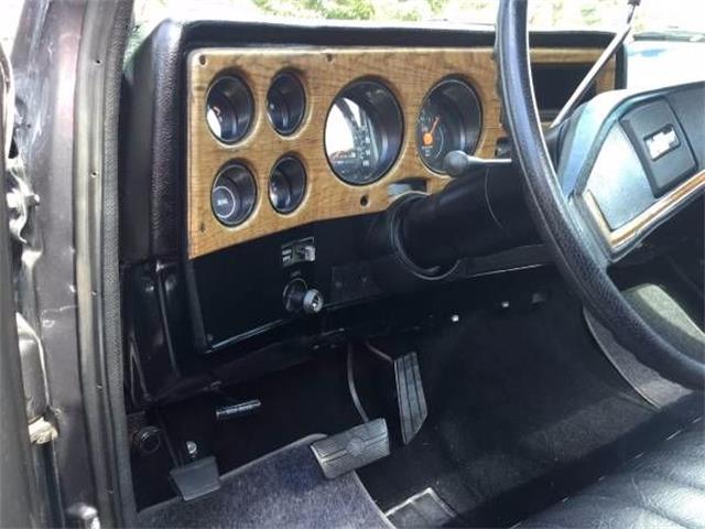 1977 Chevrolet C10 (CC-2109430) for sale in Cadillac, Michigan