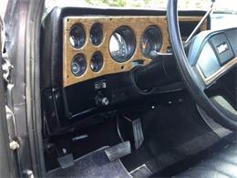 1977 Chevrolet C10 (CC-2109430) for sale in Cadillac, Michigan