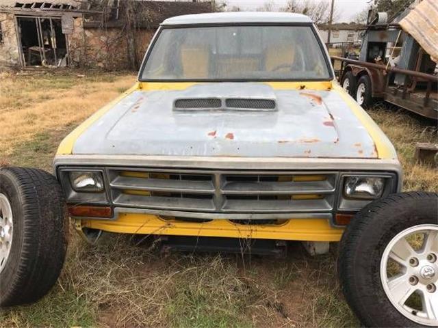 1981 Dodge Pickup (CC-2109446) for sale in Cadillac, Michigan