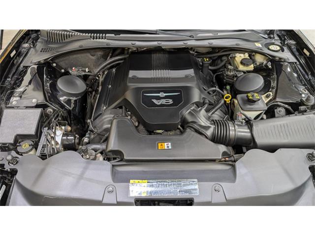 2005 Ford Thunderbird (CC-2109473) for sale in Mankato, Minnesota