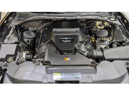 2005 Ford Thunderbird (CC-2109473) for sale in Mankato, Minnesota