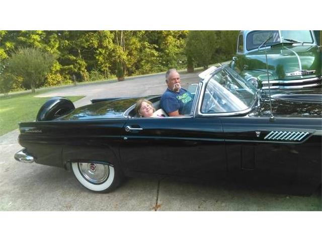 1956 Ford Thunderbird (CC-2109493) for sale in Cadillac, Michigan