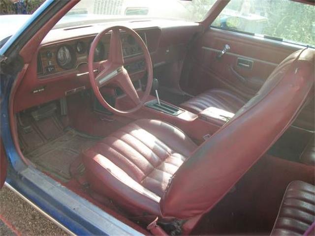 1978 Pontiac Firebird (CC-2109500) for sale in Cadillac, Michigan