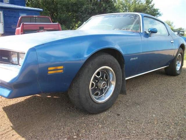 1978 Pontiac Firebird (CC-2109500) for sale in Cadillac, Michigan