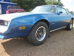 1978 Pontiac Firebird (CC-2109500) for sale in Cadillac, Michigan