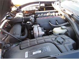 1998 Chevrolet Corvette (CC-2109509) for sale in Cadillac, Michigan
