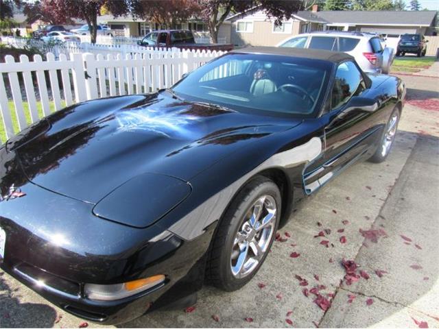 1998 Chevrolet Corvette (CC-2109509) for sale in Cadillac, Michigan