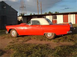 1957 Ford Thunderbird (CC-2109514) for sale in Cadillac, Michigan
