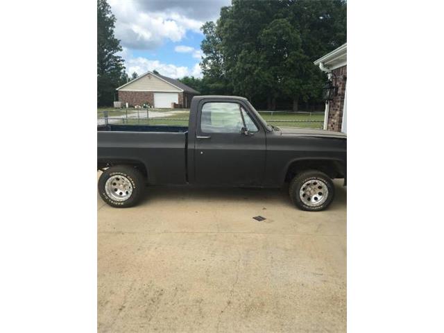 1984 Chevrolet C10 (CC-2109523) for sale in Cadillac, Michigan