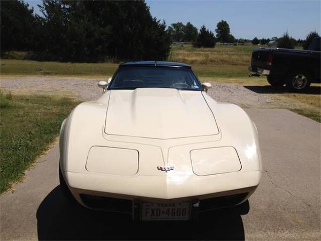 1979 Chevrolet Corvette (CC-2109535) for sale in Cadillac, Michigan