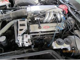 1984 Chevrolet Corvette (CC-2109541) for sale in Cadillac, Michigan
