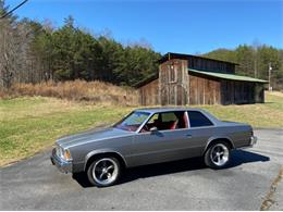 1979 Chevrolet Malibu (CC-2109568) for sale in Cadillac, Michigan