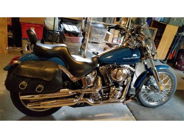 2001 Harley-Davidson Softail (CC-2109575) for sale in Cadillac, Michigan