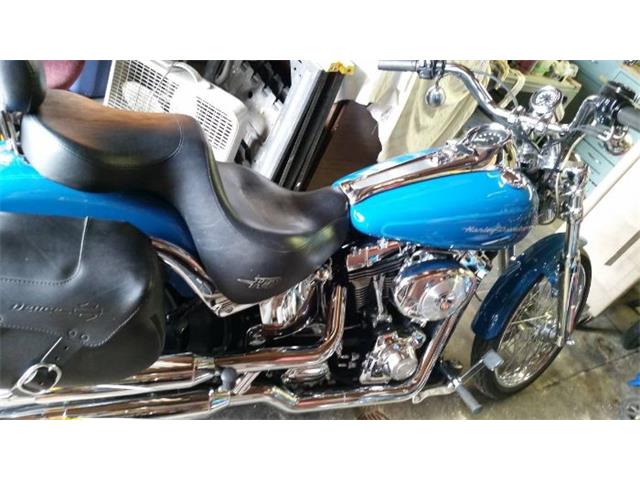 2001 Harley-Davidson Softail (CC-2109575) for sale in Cadillac, Michigan