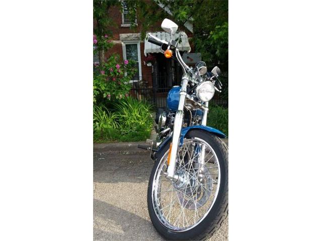 2001 Harley-Davidson Softail (CC-2109575) for sale in Cadillac, Michigan