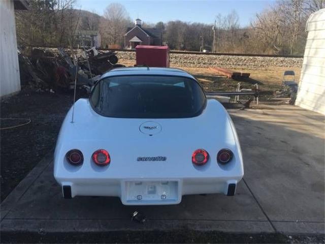 1979 Chevrolet Corvette (CC-2109596) for sale in Cadillac, Michigan