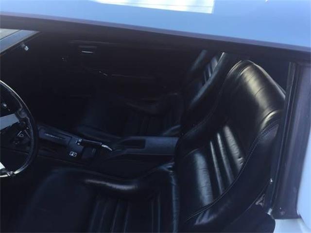1979 Chevrolet Corvette (CC-2109596) for sale in Cadillac, Michigan