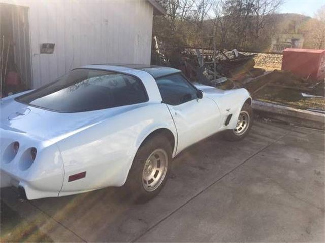 1979 Chevrolet Corvette (CC-2109596) for sale in Cadillac, Michigan