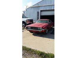 1969 Ford Thunderbird (CC-2109623) for sale in Cadillac, Michigan