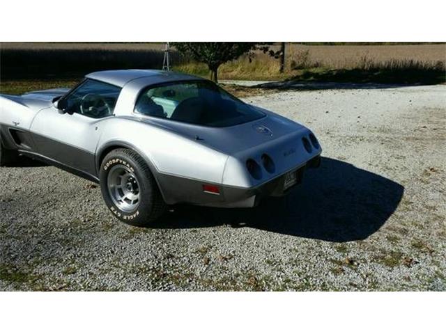 1978 Chevrolet Corvette (CC-2109627) for sale in Cadillac, Michigan