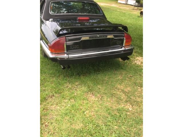 1988 Jaguar XJSC (CC-2109685) for sale in Cadillac, Michigan