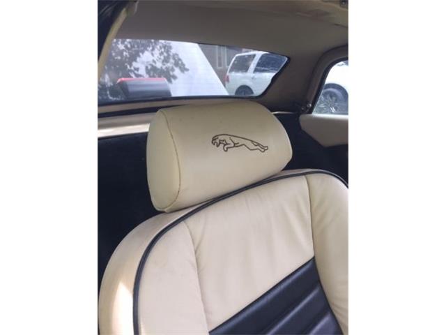 1988 Jaguar XJSC (CC-2109685) for sale in Cadillac, Michigan
