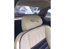 1988 Jaguar XJSC (CC-2109685) for sale in Cadillac, Michigan